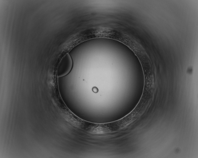 X0000100760755200806191207