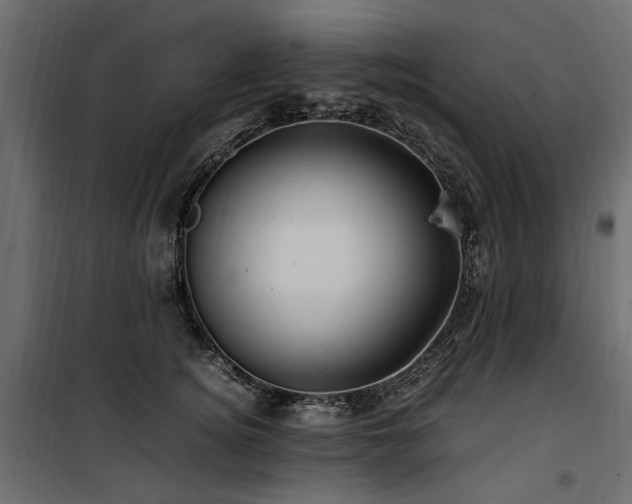 X0000100760756200806191207