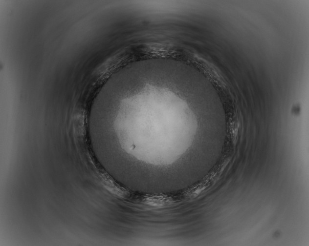 X0000100760757200806191207