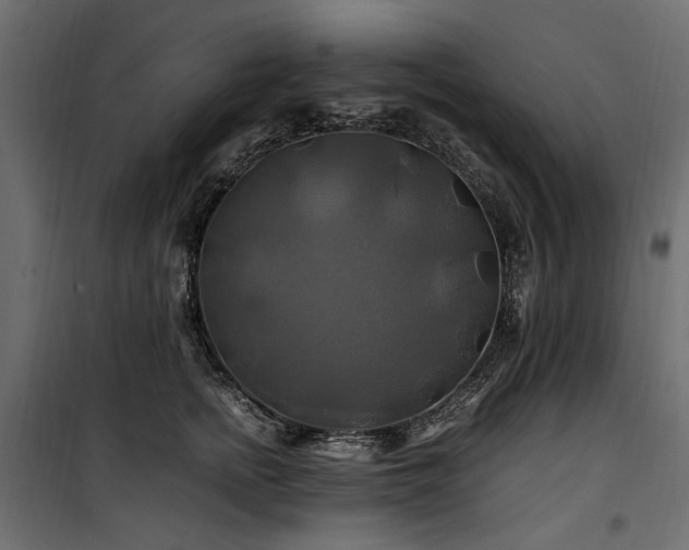 X0000100760758200806191207