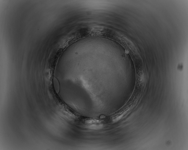 X0000100760759200806191207