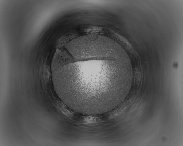 X0000100760761200806191207