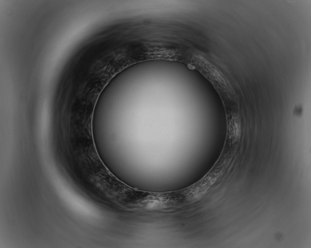 X0000100760764200806191207