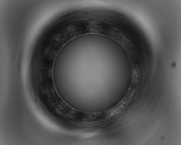 X0000100760765200806191207