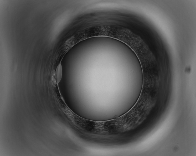 X0000100760766200806191207