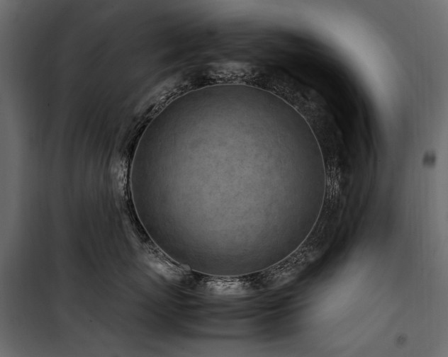 X0000100760767200806191207