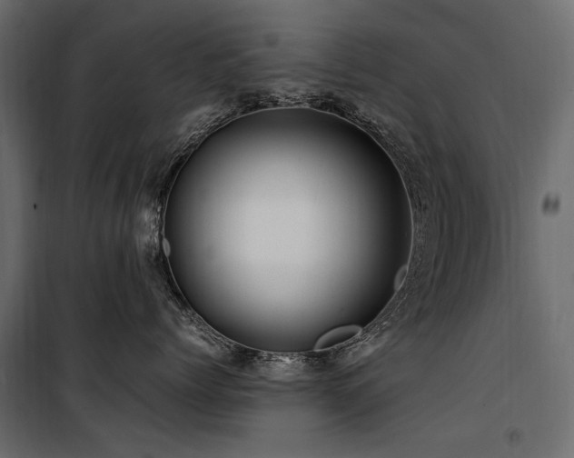 X0000100760768200806191207