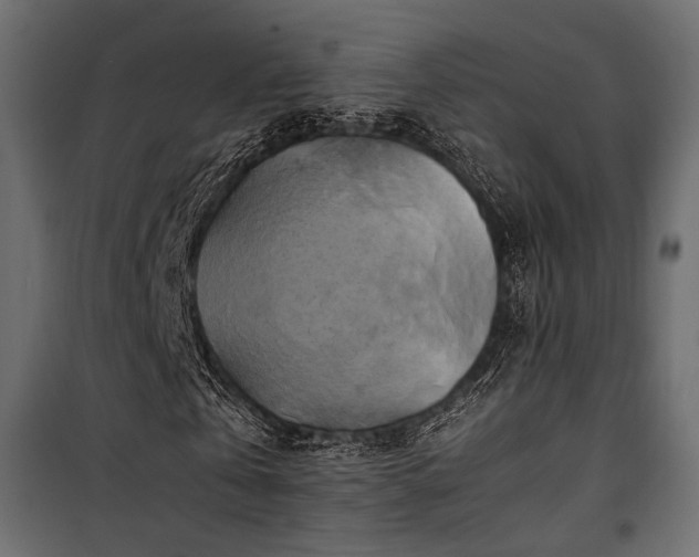 X0000100760769200806191206