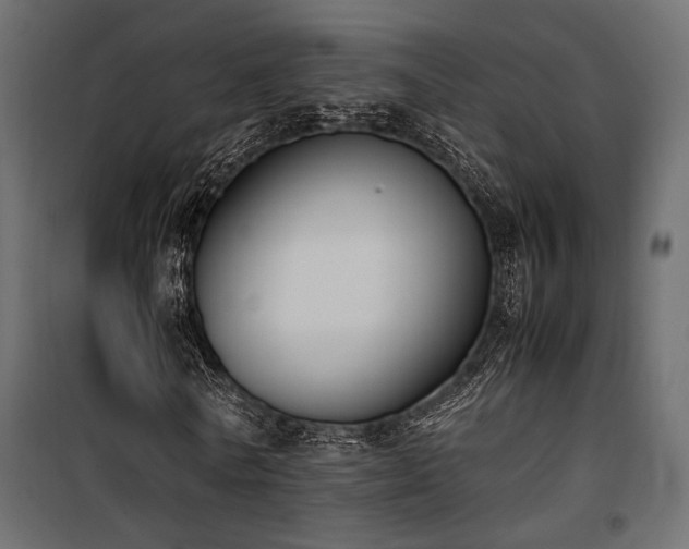 X0000100760770200806191206