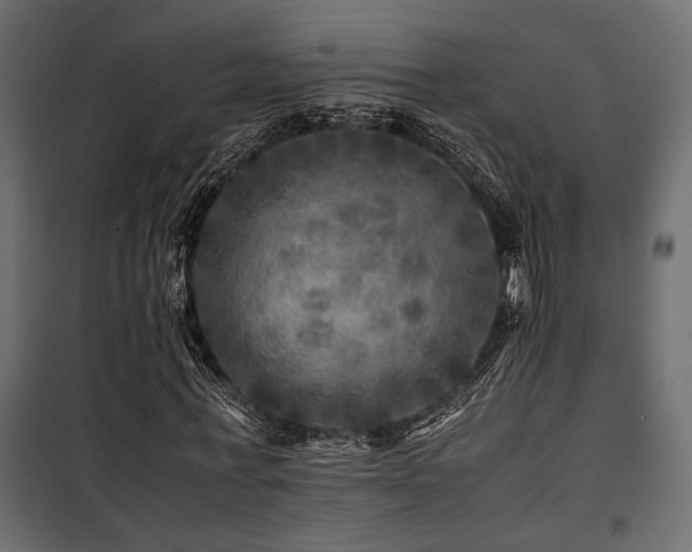 X0000100760771200806191206