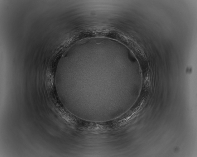 X0000100760772200806191206