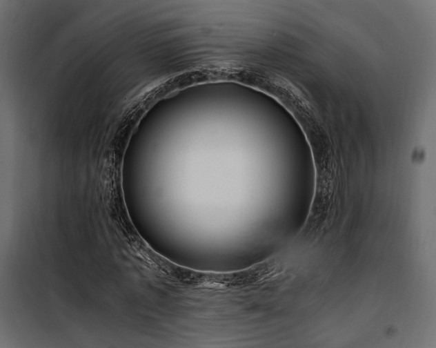 X0000100760773200806191206