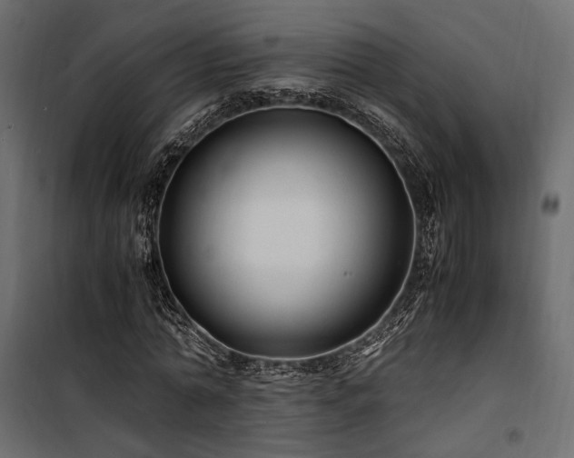 X0000100760774200806191206