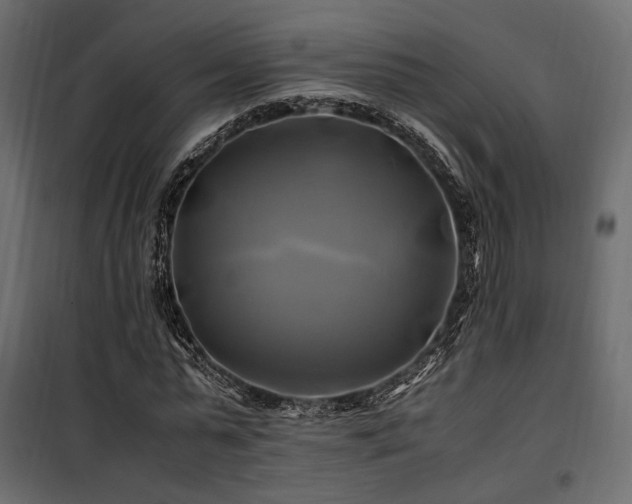 X0000100760775200806191206