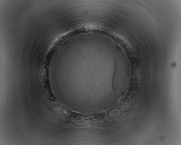 X0000100760776200806191206