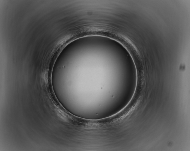 X0000100760777200806191206