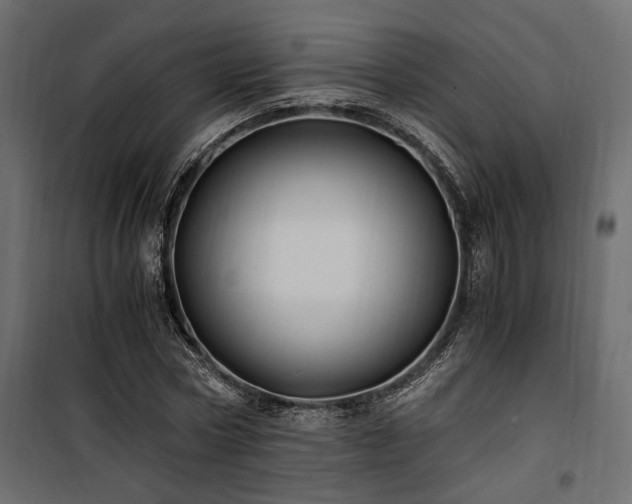 X0000100760778200806191206