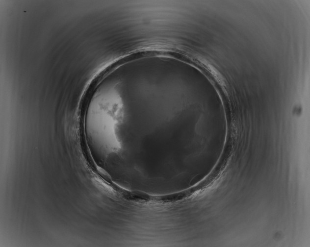 X0000100760779200806191206