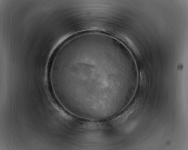 X0000100760780200806191206