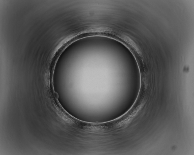 X0000100760781200806191206