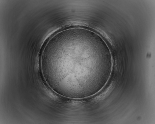 X0000100760782200806191206