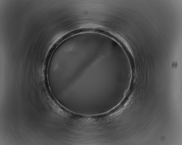 X0000100760783200806191206