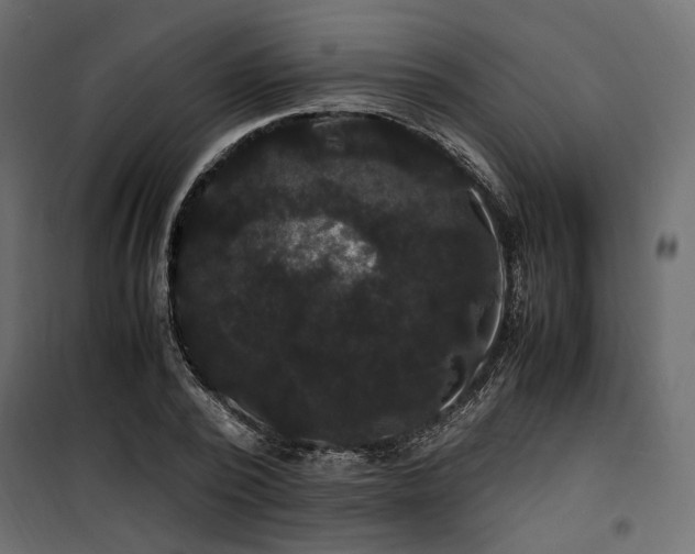 X0000100760784200806191206