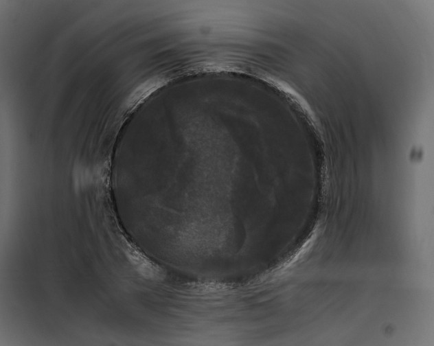 X0000100760785200806191206