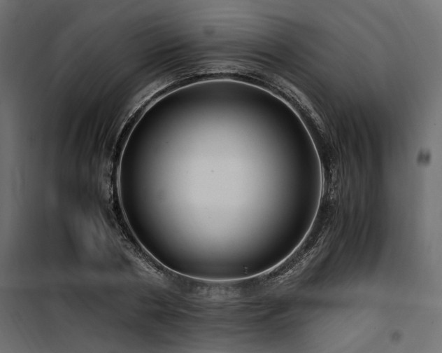 X0000100760786200806191206