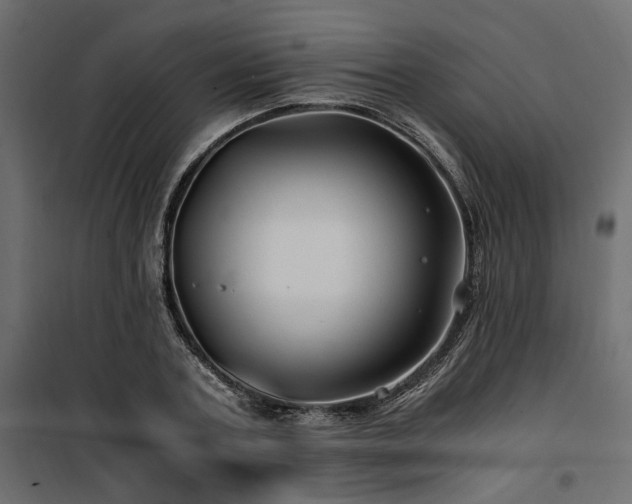 X0000100760787200806191206