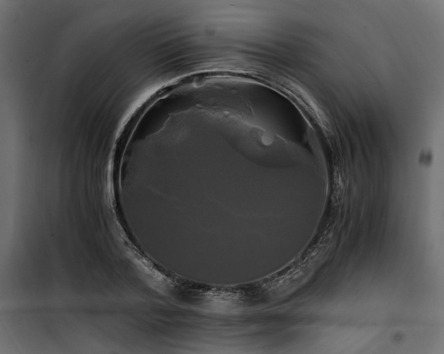 X0000100760788200806191206