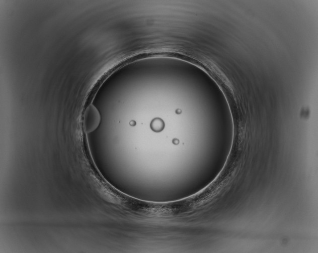 X0000100760789200806191206