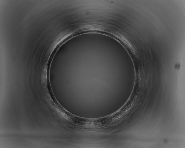 X0000100760790200806191206