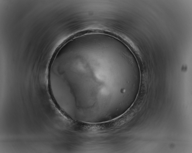 X0000100760791200806191206