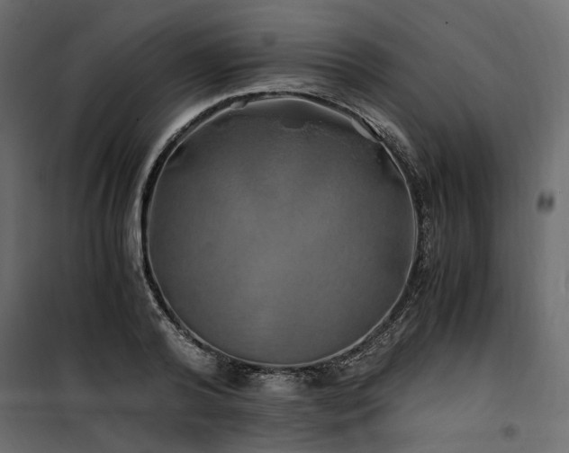 X0000100760792200806191206