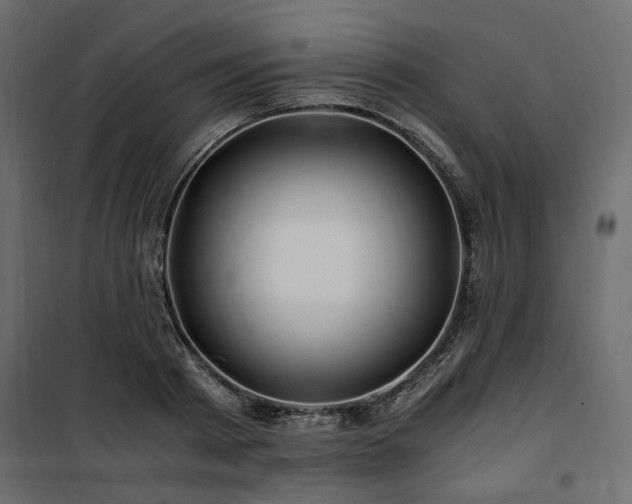 X0000100760793200806191206