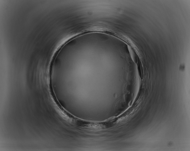 X0000100760795200806191206