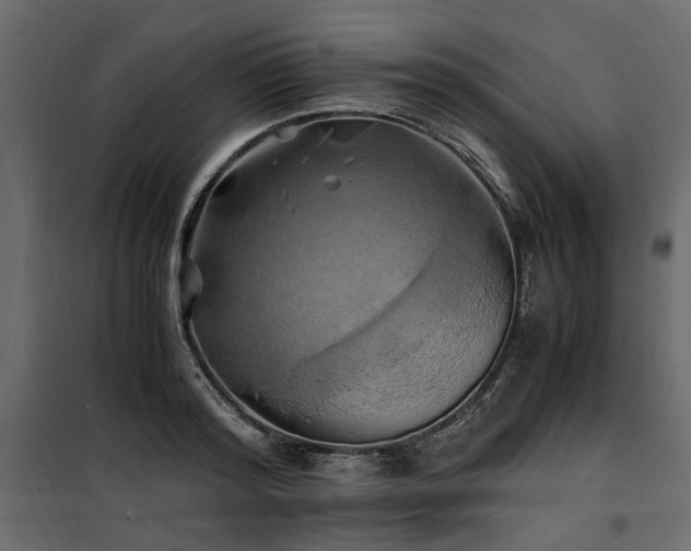 X0000100760796200806191206