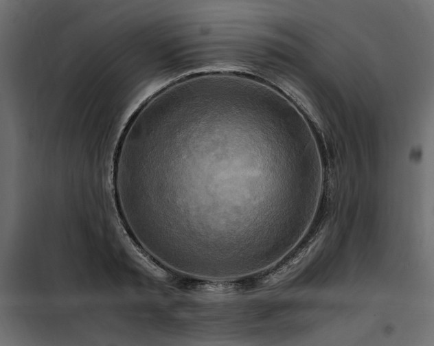 X0000100760797200806191206