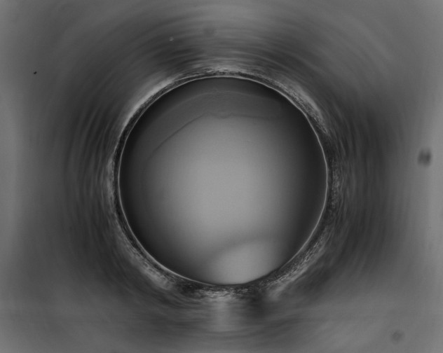 X0000100760798200806191206