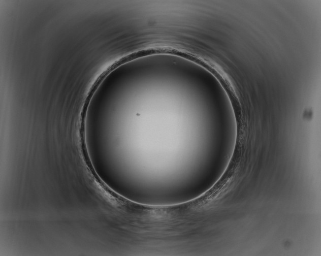 X0000100760799200806191206