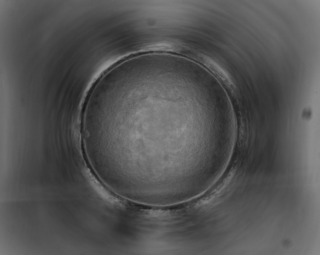 X0000100760800200806191206