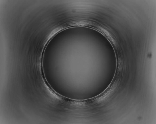 X0000100760802200806191206