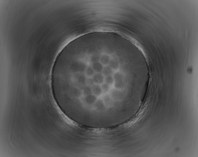 X0000100760803200806191206