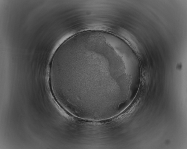 X0000100760804200806191206