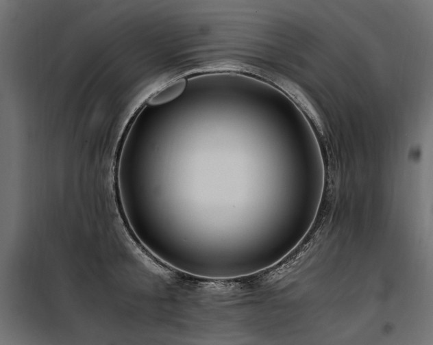 X0000100760805200806191206