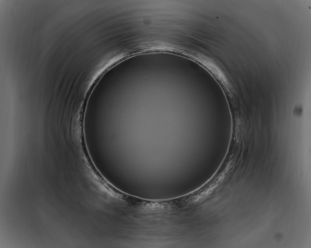 X0000100760806200806191206