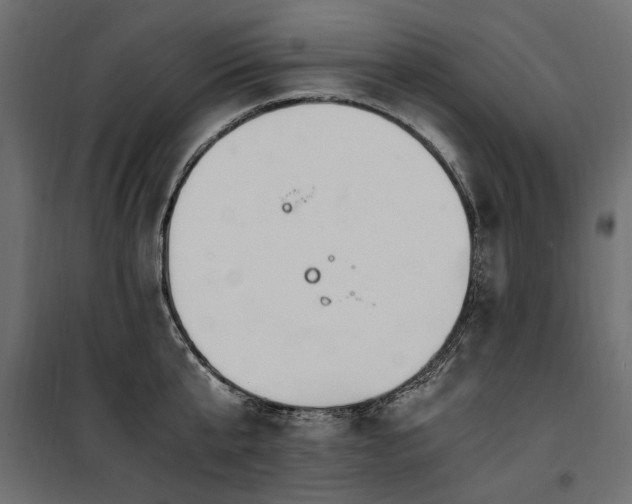 X0000100760807200806191206