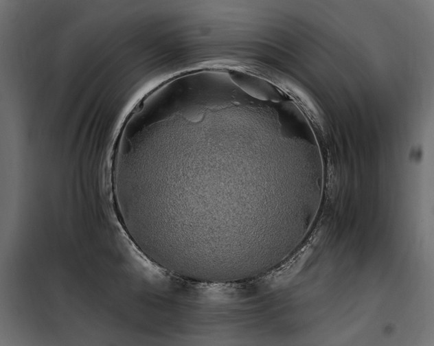 X0000100760808200806191206