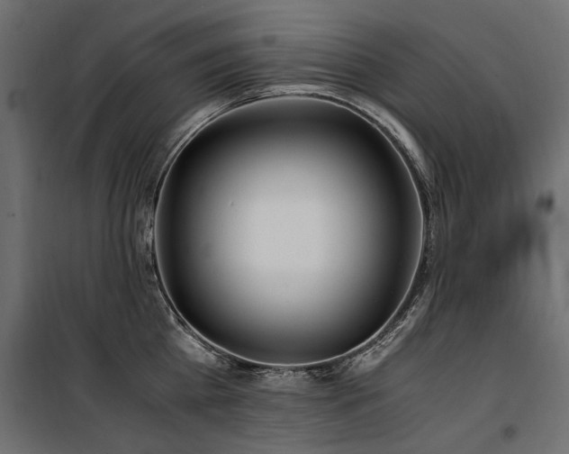 X0000100760809200806191206